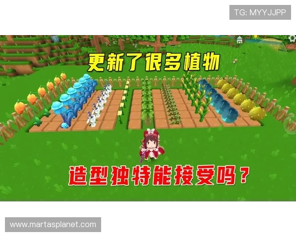 九游网页版入口使用方法教程，带你一步步了解如何顺利进入游戏界面